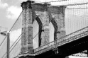New York (25)